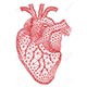 cuore-tavi
