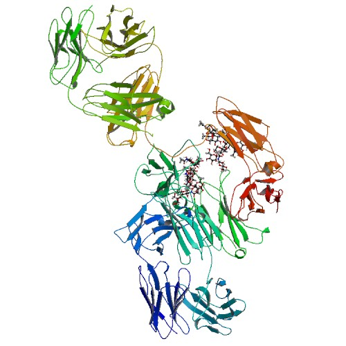 palivizumab 1