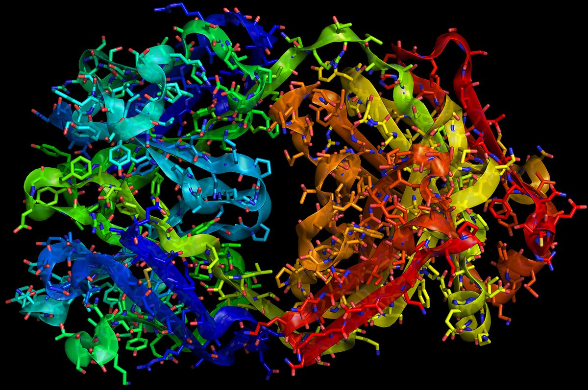 trastuzumab img
